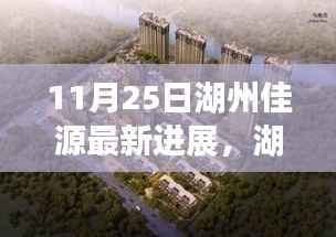 11月25日湖州佳源最新进展,湖州佳源新篇章,11月25日最新进展揭秘