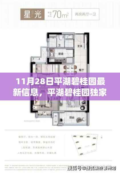 平湖碧桂园最新动态曝光,独家爆料揭秘最新信息