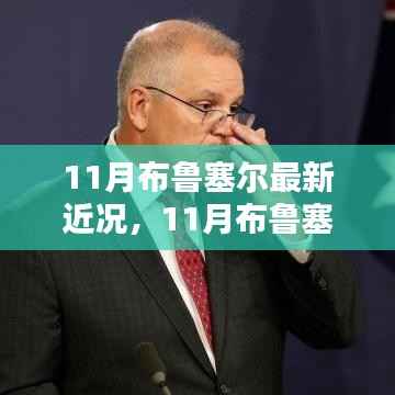 深度解析布鲁塞尔最新动态,聚焦XX观点