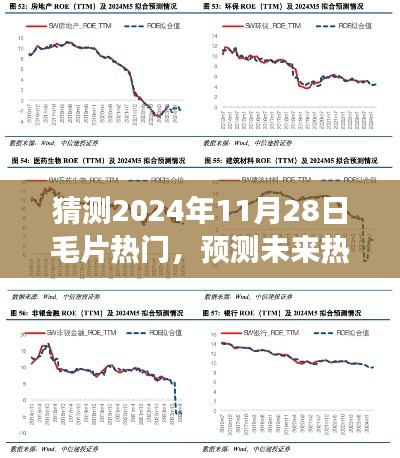 2024年11月28日毛片热门趋势预测及深度评测,展望美好未来