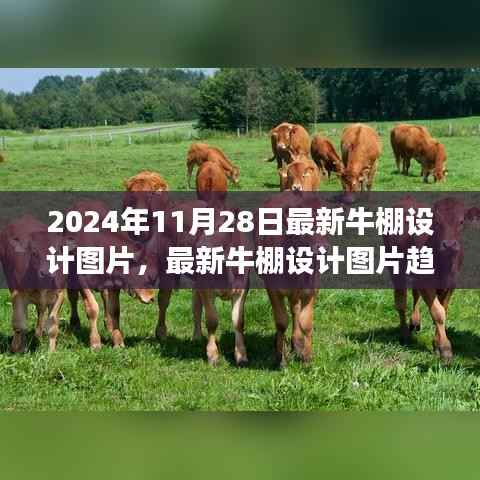 最新牛棚设计图片趋势探讨,未来展望与牛棚设计的创新之路(2024年)