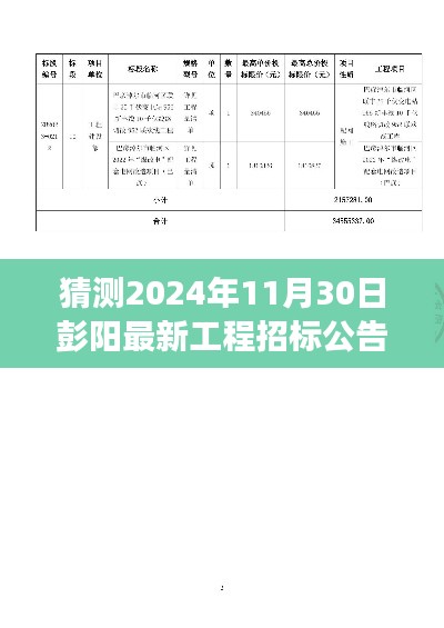 2024年11月30日彭阳工程招标公告预测与深度解读
