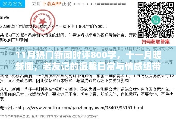 十一月新闻热点时评,老友记的温馨日常与情感纽带