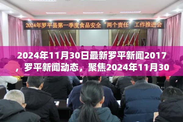 罗平新闻动态回顾与解读,聚焦最新新闻动态