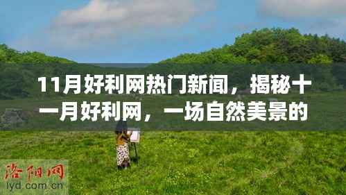 揭秘十一月好利网,自然美景之旅,寻找内心的宁静与平和