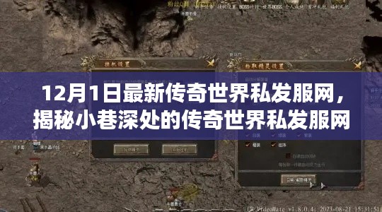 揭秘隐藏版特色小店,传奇世界私发服网及其犯罪问题探讨