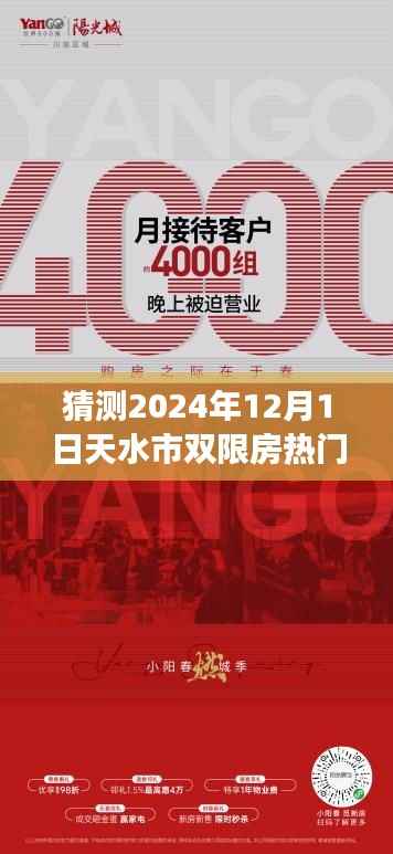 探秘天水市双限房,未来购房趋势与温馨购房之旅