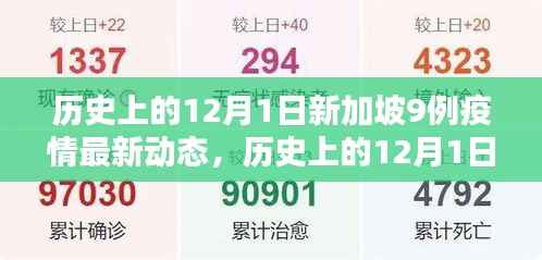 历史上的12月1日新加坡疫情动态,挑战与机遇的交织分析