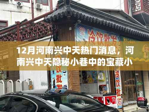 河南兴中天宝藏小店，十二月独家热门探秘之旅