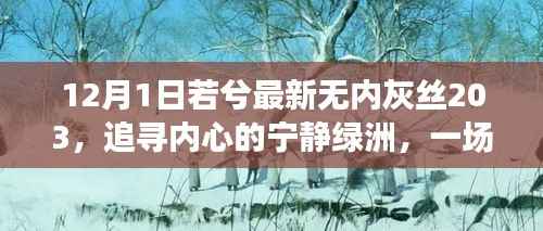 追寻内心的宁静绿洲,若兮最新无内灰丝之旅,自然美景之旅体验心灵净化