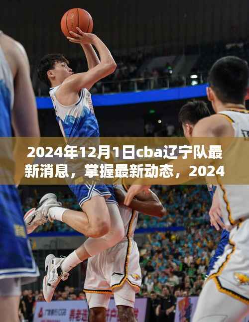 2024年CBA辽宁队最新动态获取指南,初学者与进阶用户必看