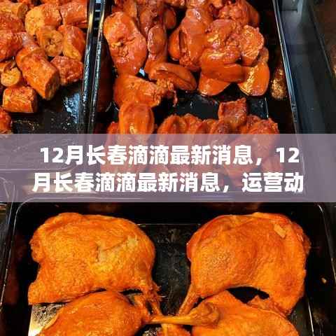 12月长春滴滴最新消息，运营动态、政策解读及市场展望