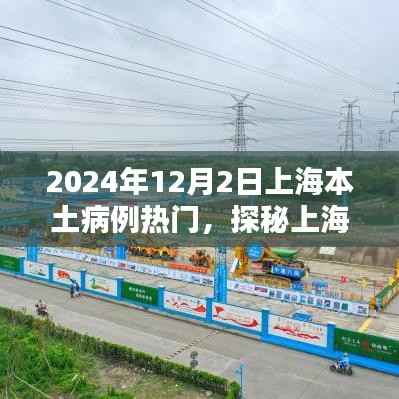 探秘上海小巷深处的独特风味,时光深处的特色小店(上海本土病例热门报道)