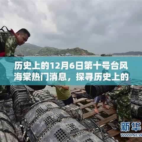 探寻历史上的台风海棠,海棠台风海棠热门消息与应对技能解析