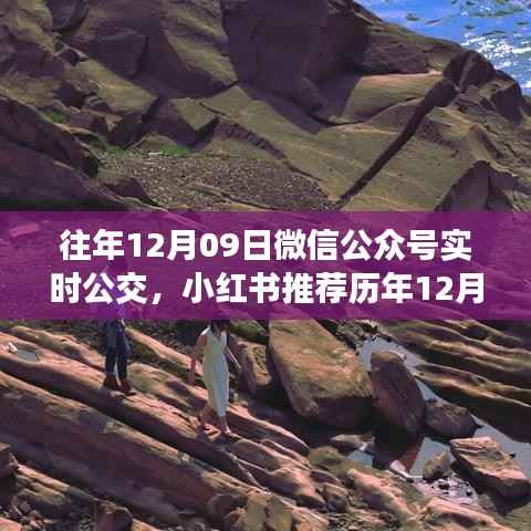 历年12月09日微信公众号实时公交功能深度解析与小红书推荐