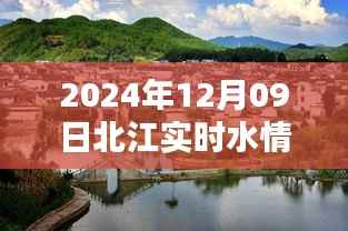 北江实时水情下的美食探秘与惊喜发现,小巷深处的独特美味,北江水情查询报告(XXXX年XX月XX日)