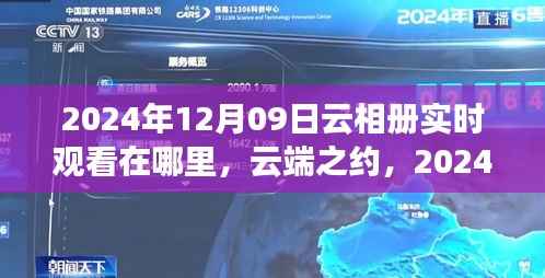 云端之约,探索云相册实时观看的绽放与影响