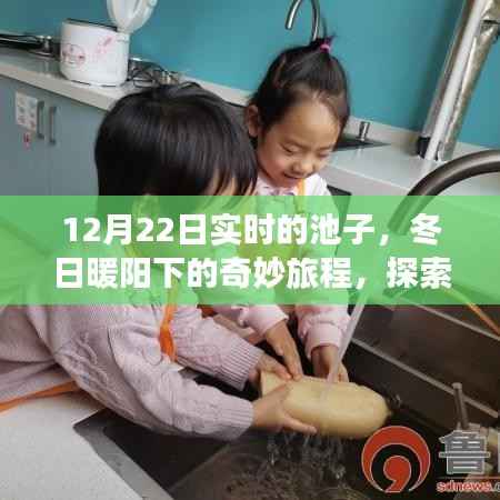 12月22日实时池子探索,冬日暖阳下的宁静与美丽之旅