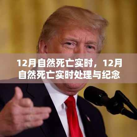 12月自然死亡实时处理与纪念指南