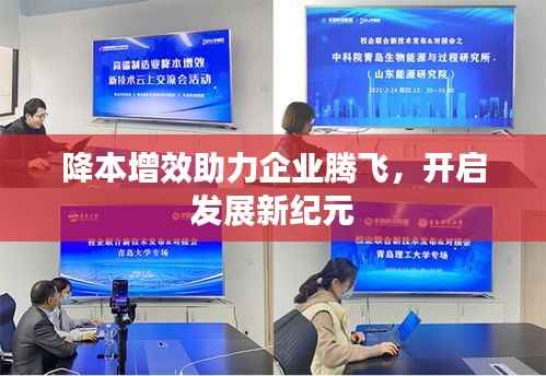 降本增效助力企业腾飞,开启发展新纪元