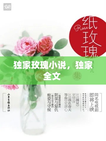 独家玫瑰小说,独家全文