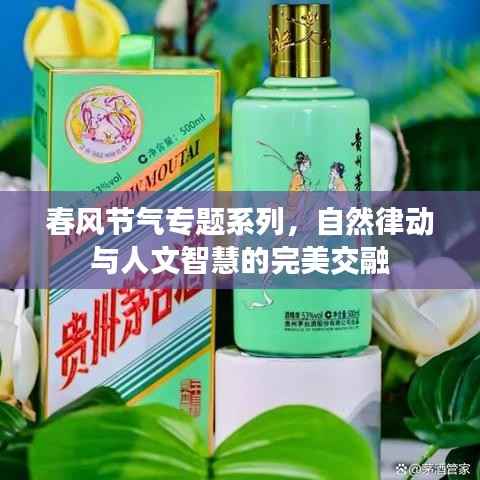春风节气专题系列,自然律动与人文智慧的完美交融