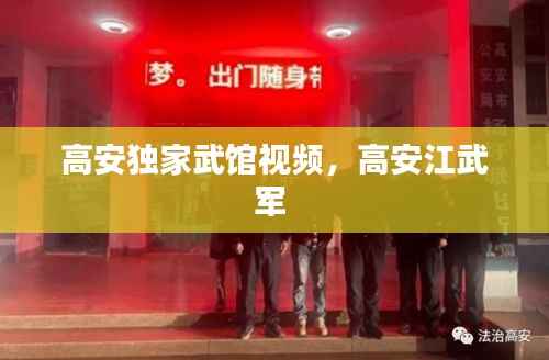高安独家武馆视频,高安江武军