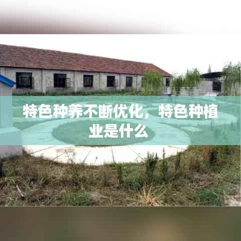 特色种养不断优化，特色种植业是什么 