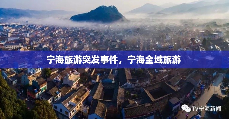 新闻中心 第193页