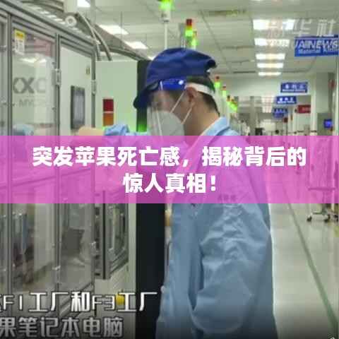 突发苹果死亡感,揭秘背后的惊人真相!