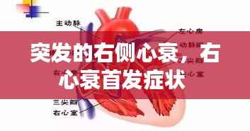 诚心诚意 第2页