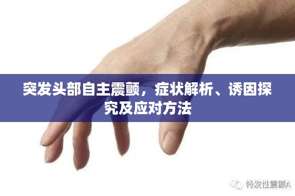 突发头部自主震颤,症状解析、诱因探究及应对方法