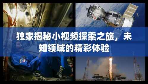 独家揭秘小视频探索之旅,未知领域的精彩体验