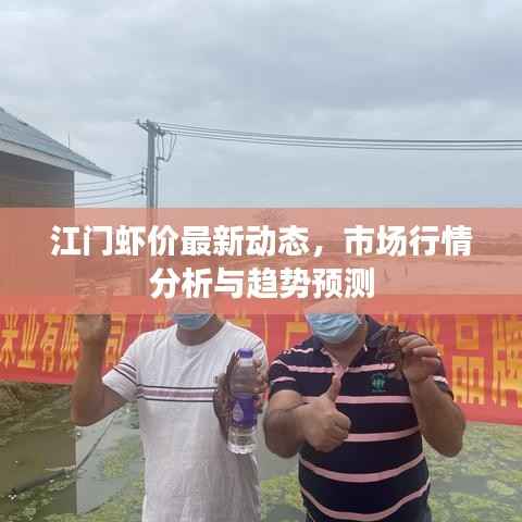 江门虾价最新动态,市场行情分析与趋势预测