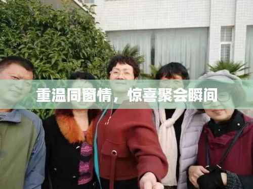 重温同窗情，惊喜聚会瞬间