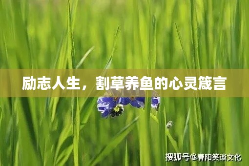 励志人生,割草养鱼的心灵箴言