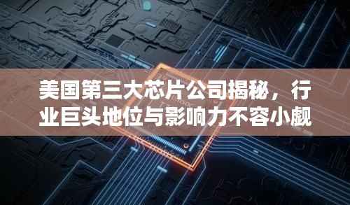 小鸟伊人 第3页