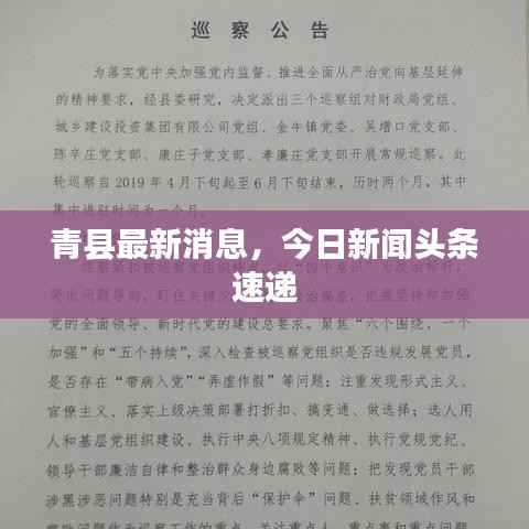 青县最新消息,今日新闻头条速递