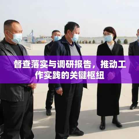 督查落实与调研报告,推动工作实践的关键枢纽