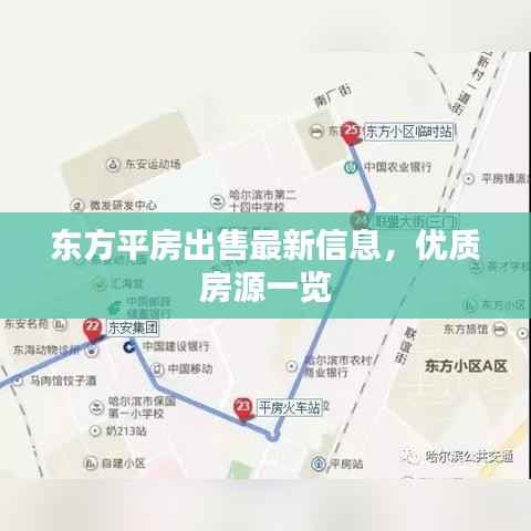 东方平房出售最新信息,优质房源一览