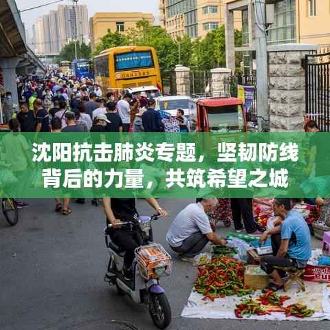 沈阳抗击肺炎专题,坚韧防线背后的力量,共筑希望之城