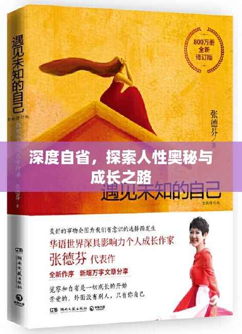 深度自省，探索人性奥秘与成长之路