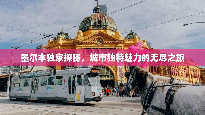 墨尔本独家探秘,城市独特魅力的无尽之旅