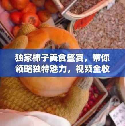 独家柿子美食盛宴,带你领略独特魅力,视频全收录!