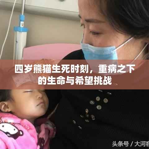 四岁熊猫生死时刻,重病之下的生命与希望挑战