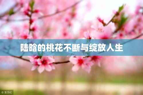 陆晗的桃花不断与绽放人生