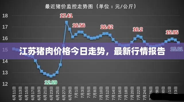 江苏猪肉价格今日走势,最新行情报告