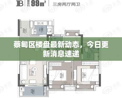 蔡甸区楼盘最新动态,今日更新消息速递