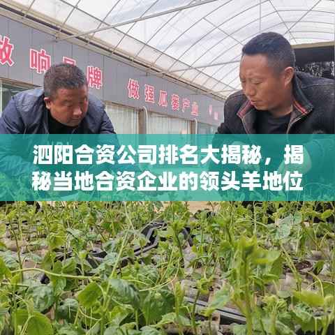 泗阳合资公司排名大揭秘，揭秘当地合资企业的领头羊地位！