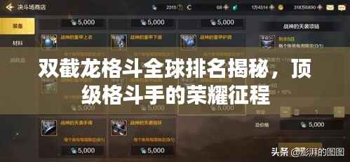 双截龙格斗全球排名揭秘,顶级格斗手的荣耀征程